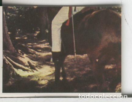 Collezionismo sportivo: Cromos Sandokan de Panini numero 266 - Varios