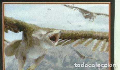 Colecionismo desportivo: Cromos: Narnia numero 120 - Varios