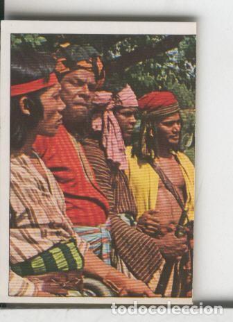 Collezionismo sportivo: Cromos Sandokan de Panini numero 024 - Varios