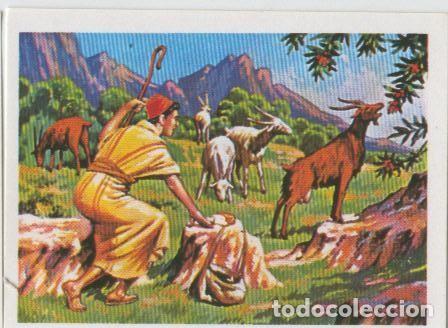 Colecionismo desportivo: Cromos: Sabias que....? numero 41 - Varios