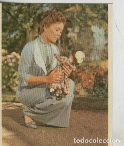 Sports collectibles: Cromos: Pollyanna numero 188 - Varios