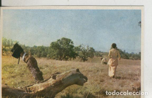 Sports collectibles: Cromos: Pollyanna numero 157 - Varios