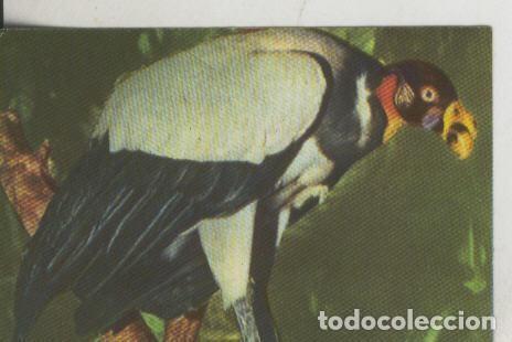 Sammelleidenschaft Sport: Cromos: La Naturaleza y sus maravillas numero 070 - Varios