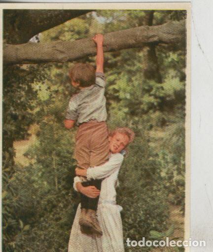 Sammelleidenschaft Sport: Cromos: Pollyanna numero 095 - Varios