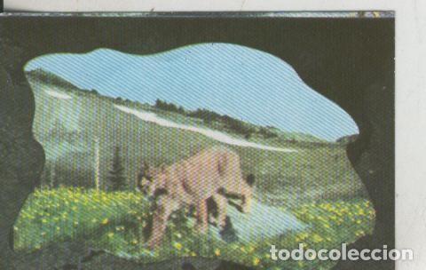Sammelleidenschaft Sport: Cromos: La Naturaleza y sus maravillas numero 012 - Varios