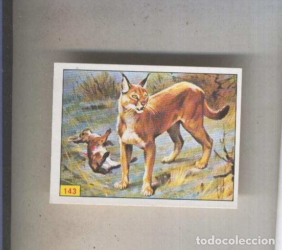 Sports collectibles: Cromo Mamiferos de Panini numero 143 - Varios