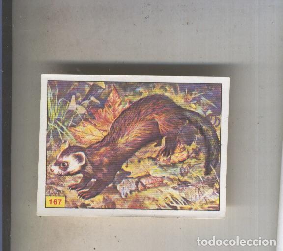 Collectionnisme sportif: Cromo Mamiferos de Panini numero 167 - Varios