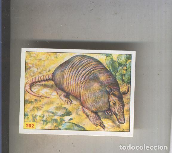 Sammelleidenschaft Sport: Cromo Mamiferos de Panini numero 202 - Varios