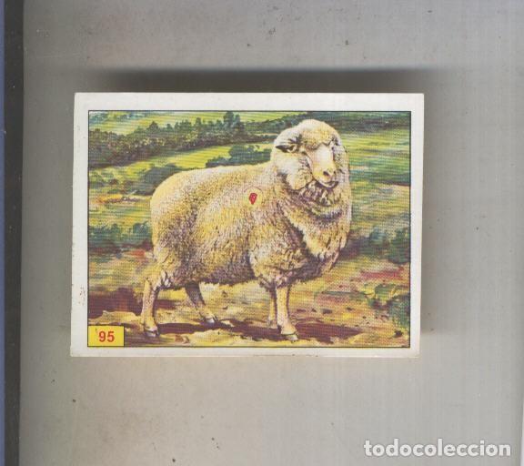 Sports collectibles: Cromo Mamiferos de Panini numero 095 - Varios