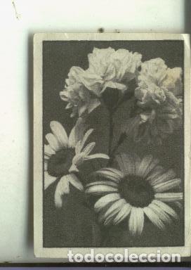 Colecionismo desportivo: Cromo: segundo album Gallina Blanca serie 12 Flores numero 6 - Varios