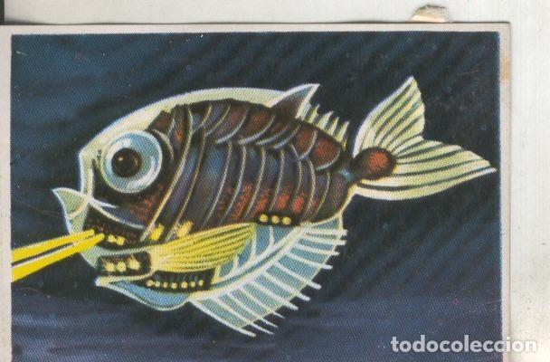 Colecionismo desportivo: Cromos: Historia Natural numero 200 - Varios