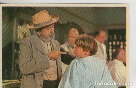 Collezionismo sportivo: Cromos: Pollyanna numero 141 - Varios