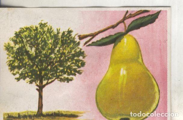 Coleccionismo deportivo: Cromos: Historia Natural numero 417 - Varios