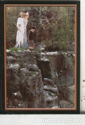 Sports collectibles: Cromos: Narnia numero 087 - Varios