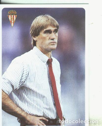 Colecionismo desportivo: Cromos: Las fichas de la liga 95/96-Sporting: Ricardo Rezza (entrenador) - Varios
