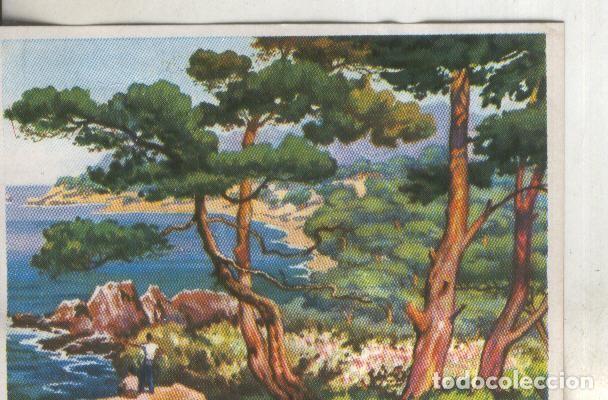 Coleccionismo deportivo: Cromos: Historia Natural numero 406 - Varios