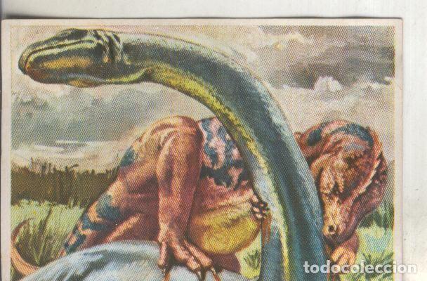 Collectionnisme sportif: Cromos: Historia Natural numero 039 - Varios