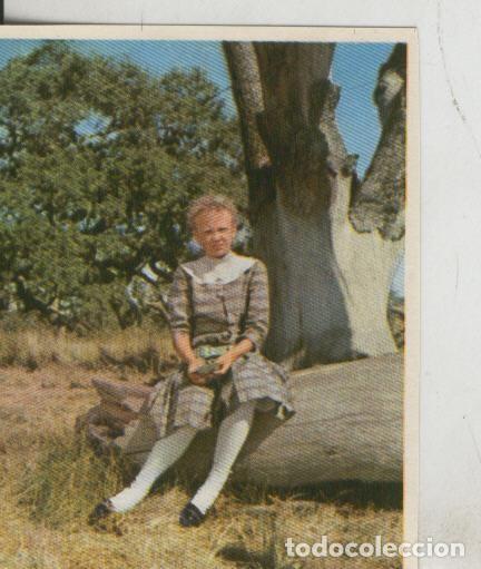 Colecionismo desportivo: Cromos: Pollyanna numero 152 - Varios