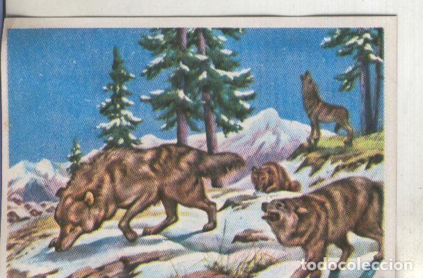 Colecionismo desportivo: Cromos: Historia Natural numero 095 - Varios