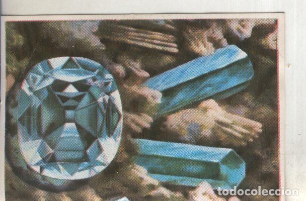 Sports collectibles: Cromos: Historia Natural numero 077 - Varios