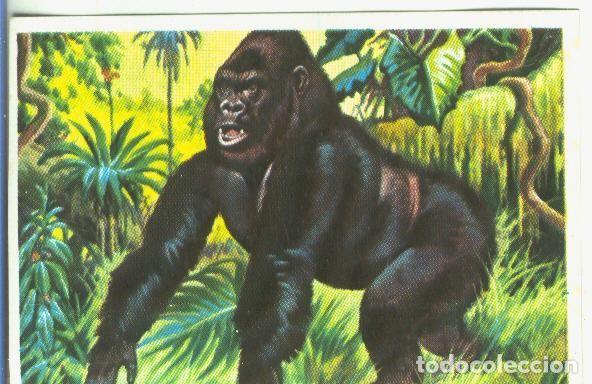 Collezionismo sportivo: Cromos: Historia Natural numero 124 - Varios