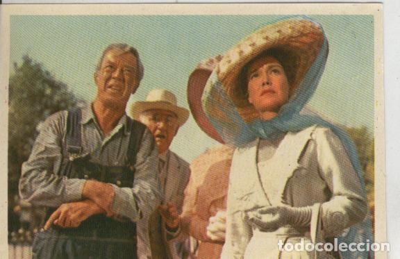 Sports collectibles: Cromos: Pollyanna numero 047 - Varios