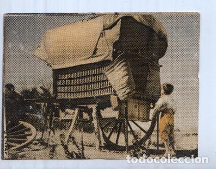 Sports collectibles: Cromo: Marcelino Pan y Vino numero 067