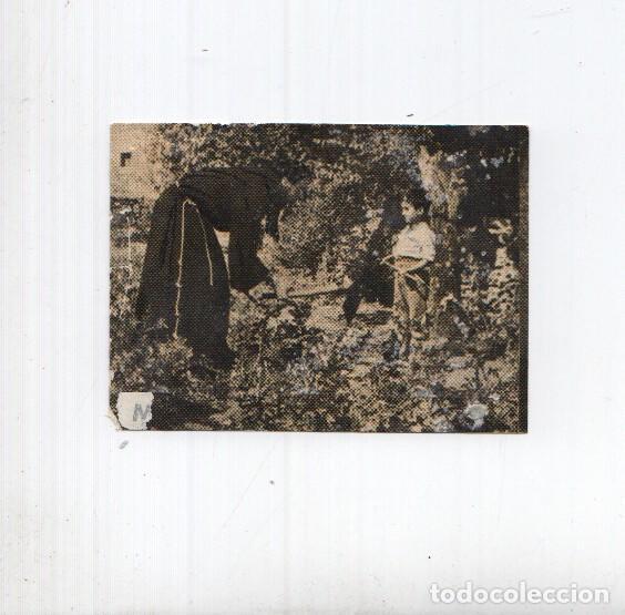 Coleccionismo deportivo: Cromo: Marcelino Pan y Vino numero 142