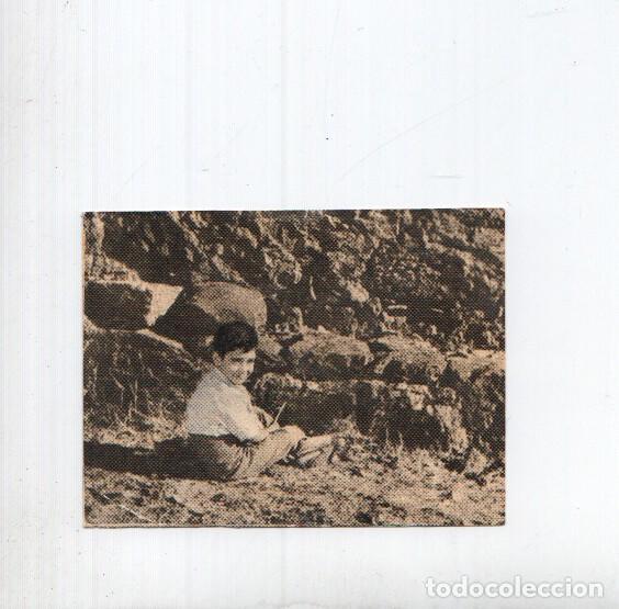 Coleccionismo deportivo: Cromo: Marcelino Pan y Vino numero 216