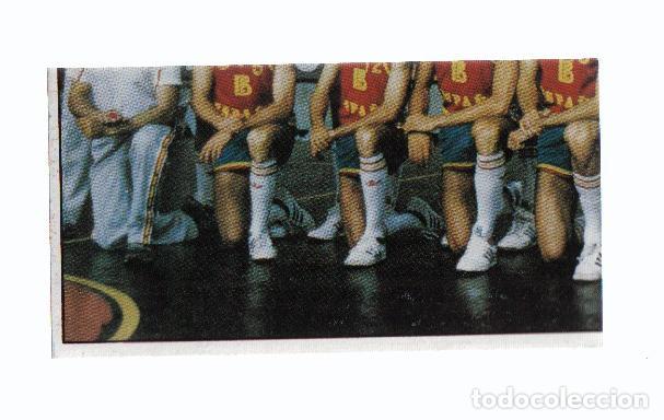 Collectionnisme sportif: Cromo: Baloncesto 1986-1987: numero 138: Seleccion Nacional