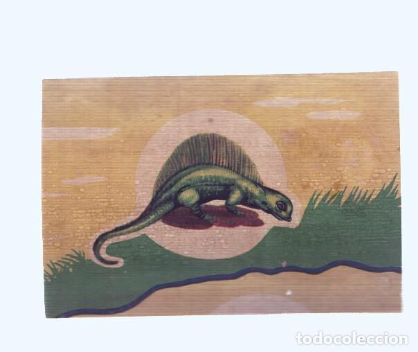 Collectionnisme sportif: Cromos: de la Selva Misteriosa a los abismos del mar: numero 003: cromo de la lamina Animales de div