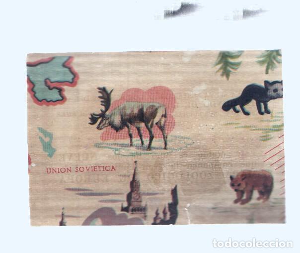 Collectionnisme sportif: Cromos: de la Selva Misteriosa a los abismos del mar: numero 023: Mapa zoologico de Europa, parte