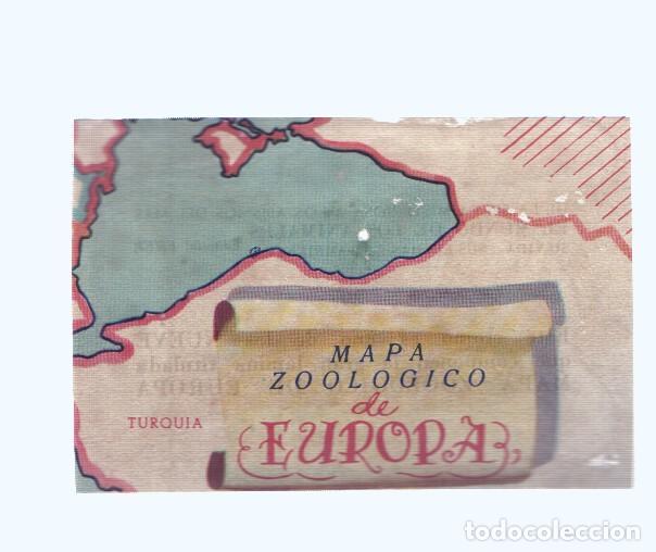 Collectionnisme sportif: Cromos: de la Selva Misteriosa a los abismos del mar: numero 029: Mapa zoologico de Europa, parte