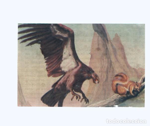 Collectionnisme sportif: Cromos: de la Selva Misteriosa a los abismos del mar: numero 045: Piratas del espacio