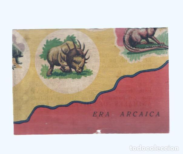 Collectionnisme sportif: Cromos: de la Selva Misteriosa a los abismos del mar: numero 008: cromo de la lamina Animales de div