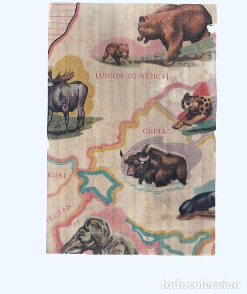 Collectionnisme sportif: Cromos: de la Selva Misteriosa a los abismos del mar: numero 058: Mapa zoologico de asia, parte