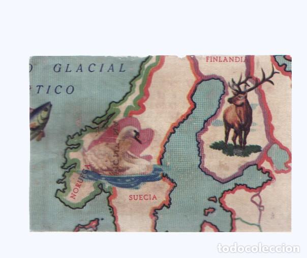 Collectionnisme sportif: Cromos: de la Selva Misteriosa a los abismos del mar: numero 022: Mapa zoologico de Europa, parte