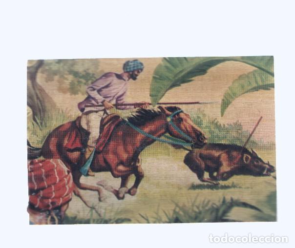 Collezionismo sportivo: Cromos: de la Selva Misteriosa a los abismos del mar: numero 065: Acorralado