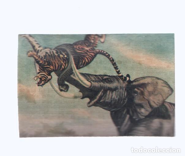 Collezionismo sportivo: Cromos: de la Selva Misteriosa a los abismos del mar: numero 077: Dos enemigos mortales