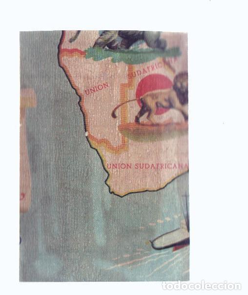 Collezionismo sportivo: Cromos: de la Selva Misteriosa a los abismos del mar: numero 116: Mapa zoologico de Africa, parte