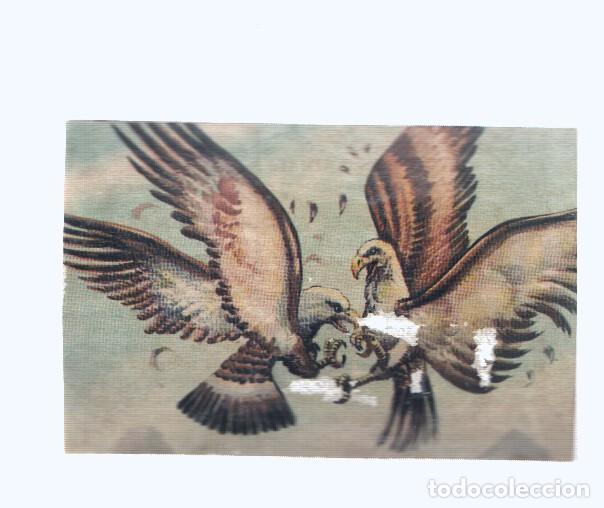 Collezionismo sportivo: Cromos: de la Selva Misteriosa a los abismos del mar: numero 089: Due&ntilde;os del espacio frente a frente