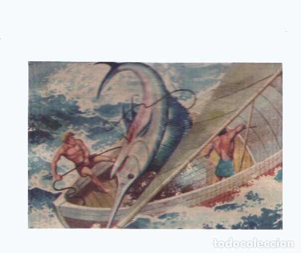 Collezionismo sportivo: Cromos: de la Selva Misteriosa a los abismos del mar: numero 285: Pesca accidentada