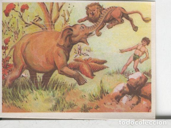 Sports collectibles: Cromos: Aventuras de Jorge, el Peque&ntilde;o Tarzan, autor Gigarpe numero 043 - Varios