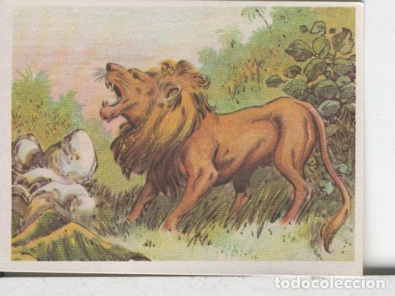 Colecionismo desportivo: Cromos: Aventuras de Jorge, el Peque&ntilde;o Tarzan, autor Gigarpe numero 036 - Varios