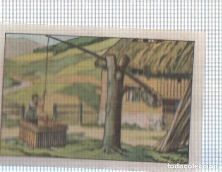 Coleccionismo deportivo: Cromo Nestle numerado 005