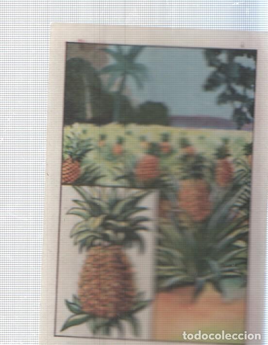 Coleccionismo deportivo: Cromo Nestle numerado 010