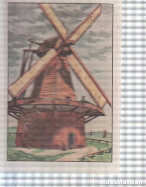 Coleccionismo deportivo: Cromo Nestle numerado 060: Molino