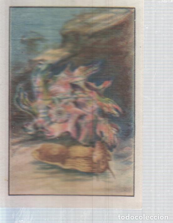 Coleccionismo deportivo: Cromo Nestle numerado 064: Flora marina