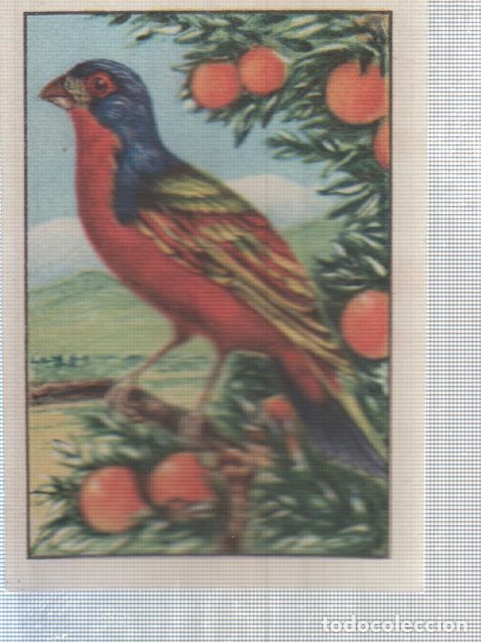 Sammelleidenschaft Sport: Cromo Nestle numerado 214. Ave