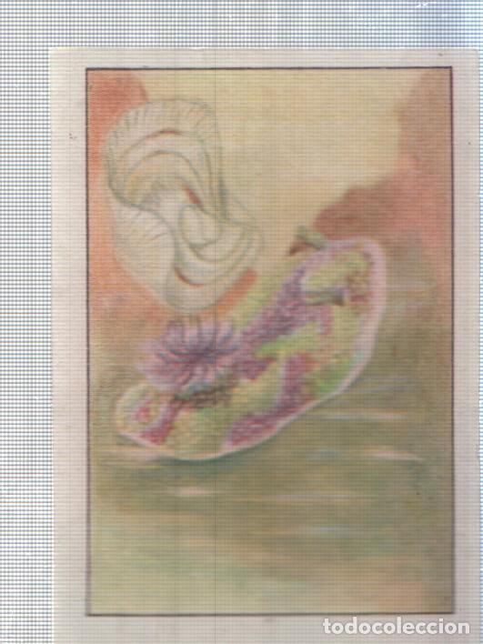 Sammelleidenschaft Sport: Cromo Nestle numerado 193: Flora marina